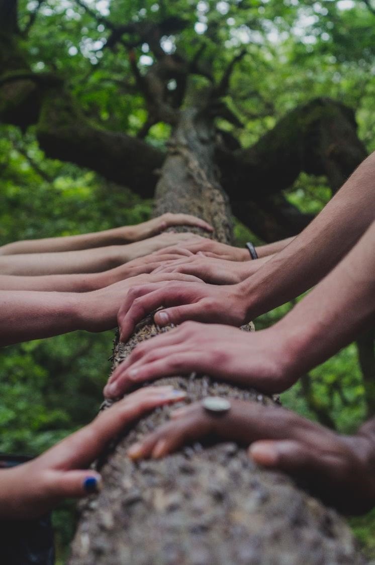 7 Techniques Pour Renforcer La Cohésion D'équipe - Boero Conseil